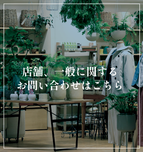 contact store