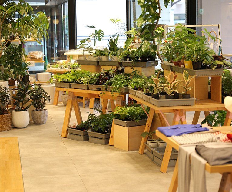 とある植物屋さん 80年の歴史ある農園が営む山間のガーデンショップ。初心者にもおすすめ