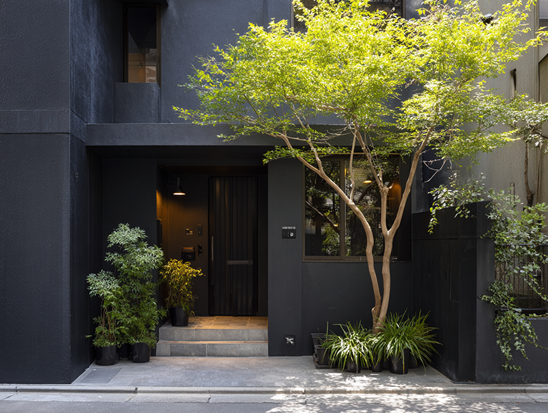 シンボルツリーは「住まいの顔
