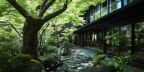 山の樹 山の樹